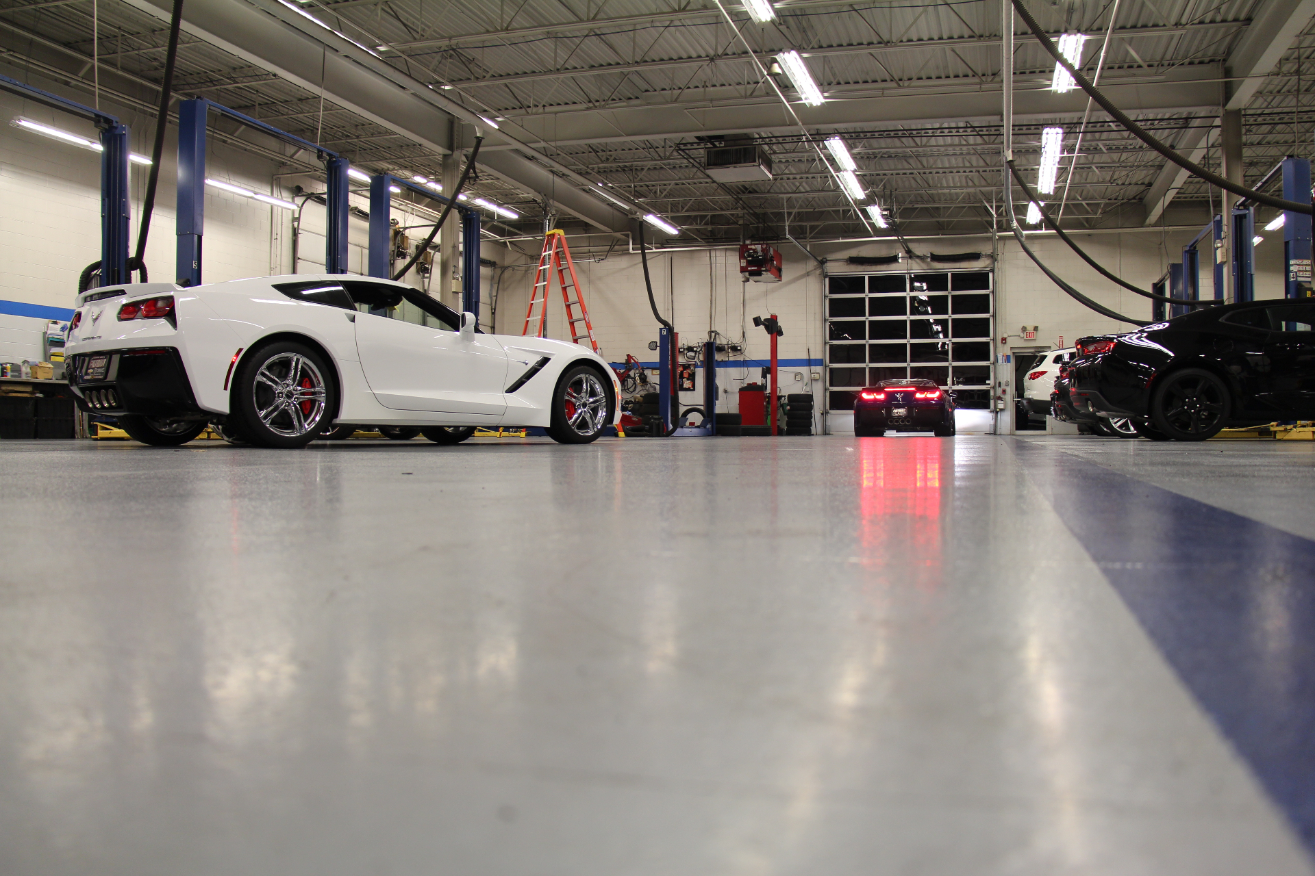 Corvettes in the service bays